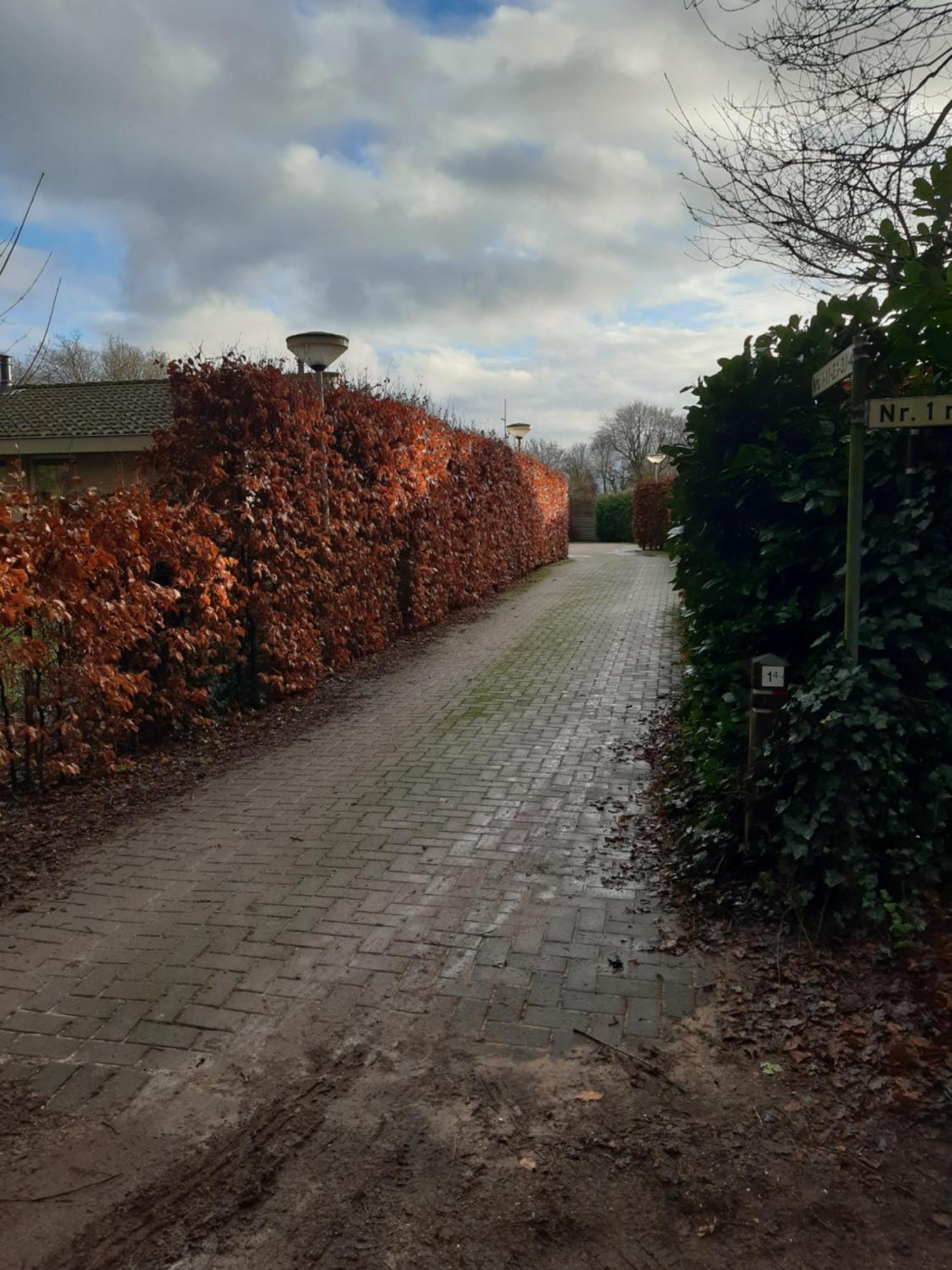 Вилла Huinerhofje 2 - Vrijstaand Met Grote Omheinde Tuin, Rust, Privacy En Nabij Bossen Пюттен Экстерьер фото